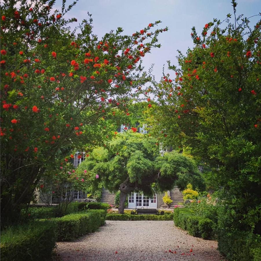 Chateau De Floure - Spa Et Piscine Exterieure Chauffee 카르카손 외부 사진